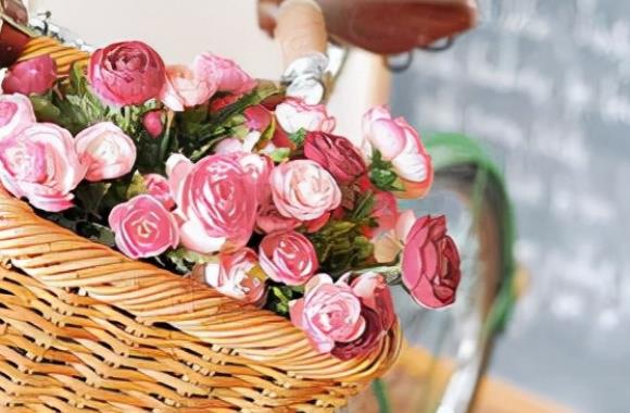 写早安的优美句子文案