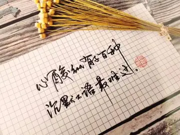 被亲人伤透了心的句子文案