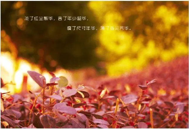 品质生活的唯美句子文案简单