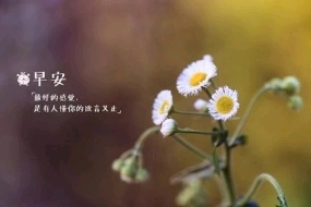 夫妻早安情话文案心语