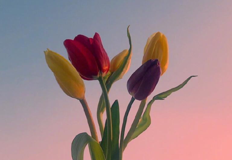 2024生活说说文案