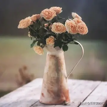 2024心灵鸡汤图片