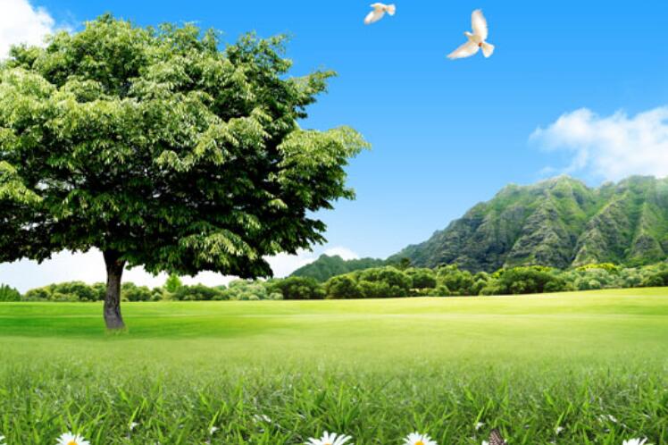 欢迎回家的幽默短句