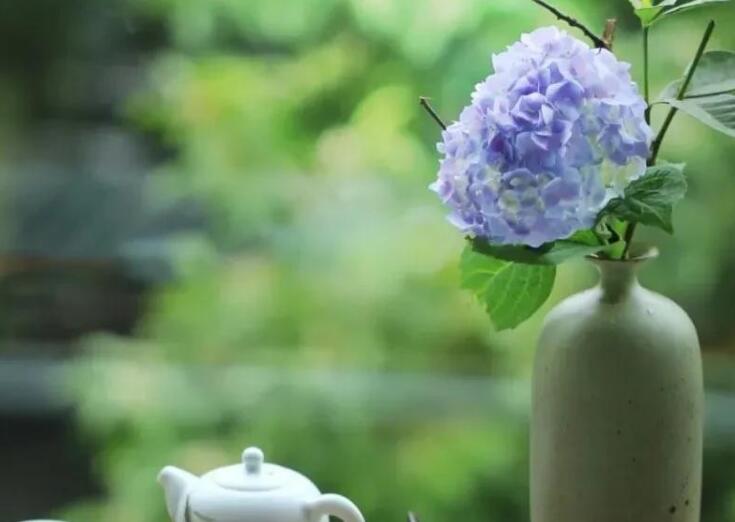 关于健康的名人名言