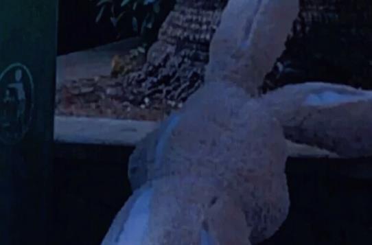 微信说说心情伤感文案