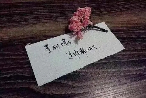 写给很累的自己一句话