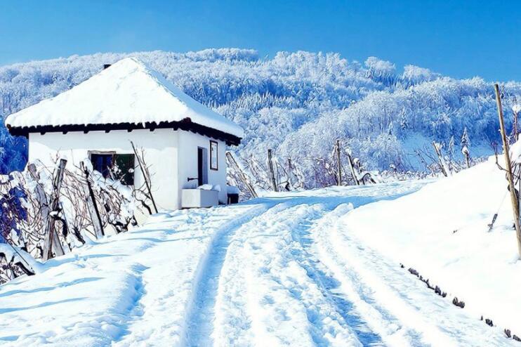 描写冬天美景的段落摘抄