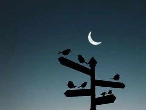 失望的晚安心情说说文案