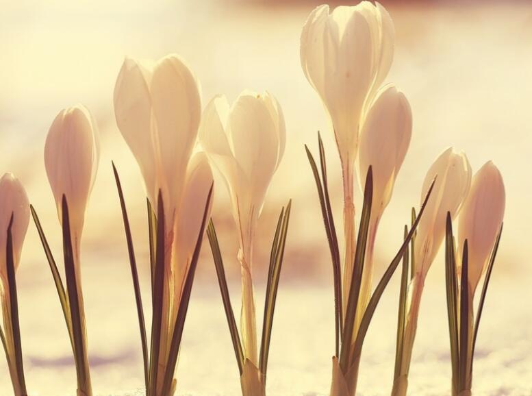 失意的句子文案说说心情