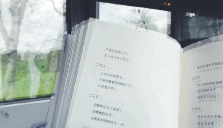 简短而经典的英语句子文案