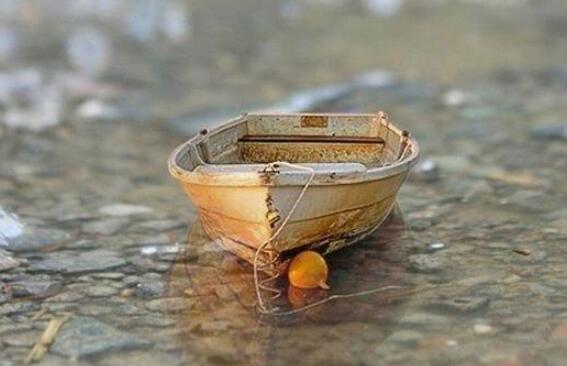 关于独角兽励志的句子文案