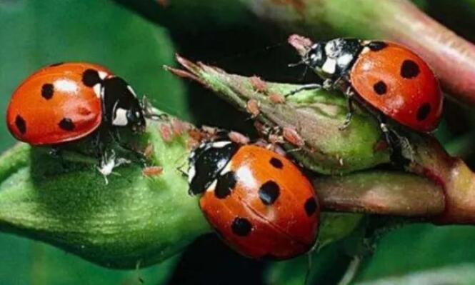 童年是什么仿写句子文案