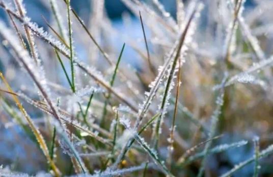 描写霜降的句子文案