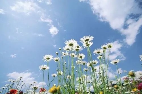 每天早上的心情说说文案