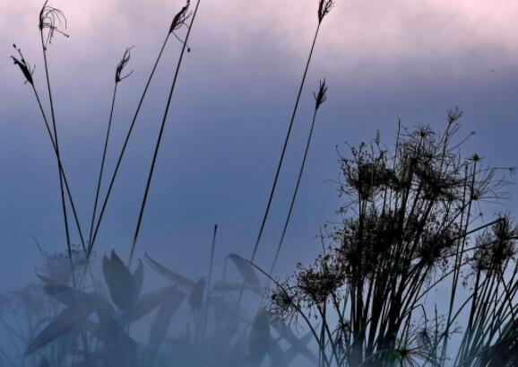 高三作文名人名言积累