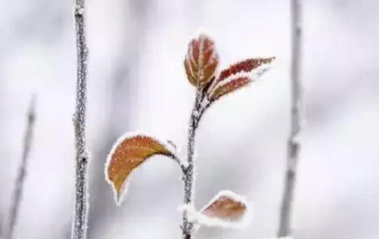 佛系人生精美短句