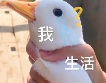 不想上班的朋友圈说说文案