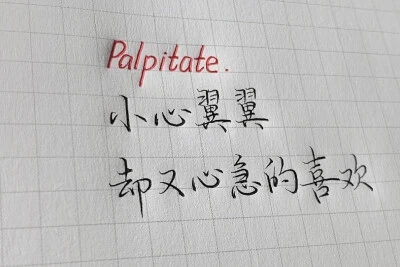 手写小清新句子文案