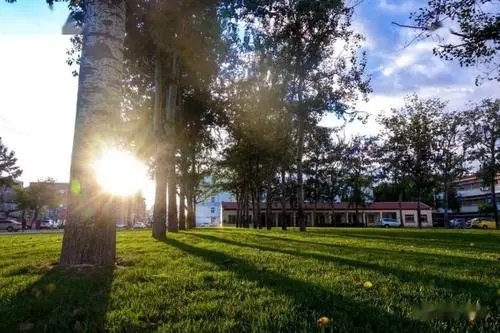 适合大学校园风景的文案