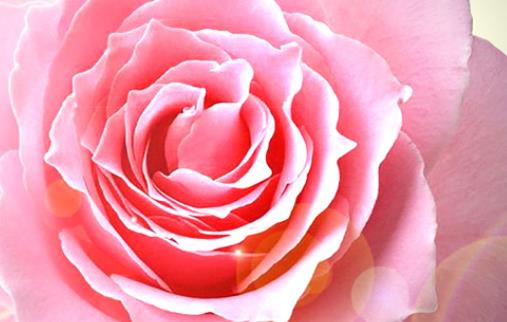 形容节日快乐的短句