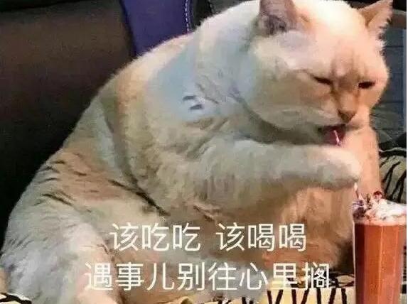 暖心鼓励安慰别人的话