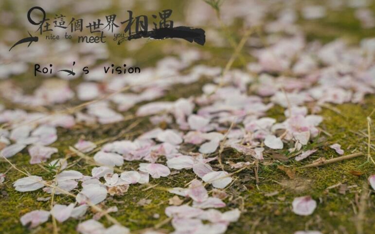 积累好词好句文案