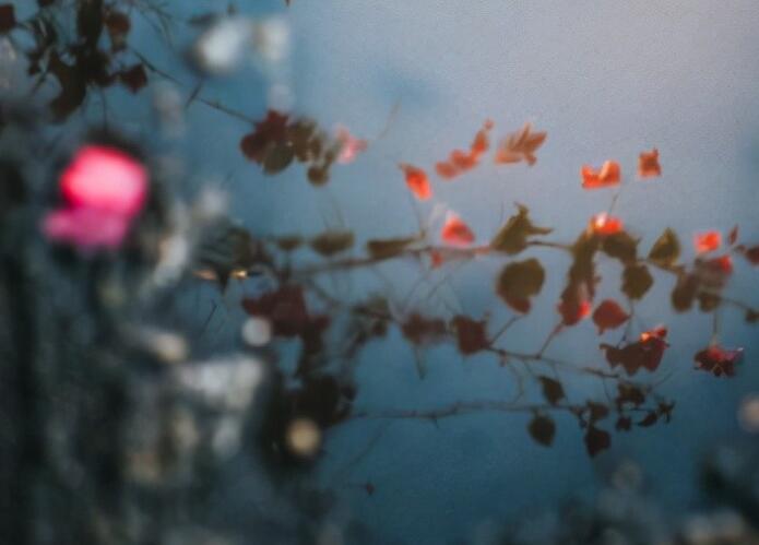 治愈系的句子文案