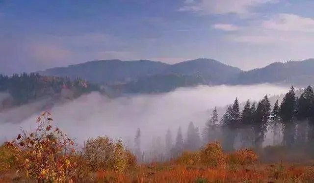 描写冬天景色的好句文案