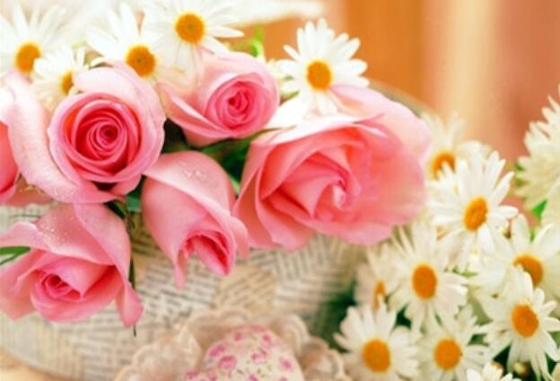 三八妇女节祝福语20字