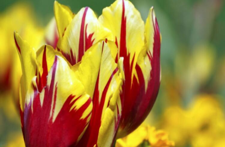 领导父亲去世致哀短信