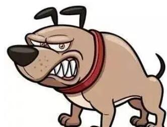 不与疯狗计较的名言