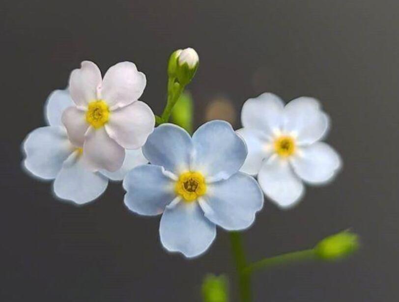 2024早安励志说说文案