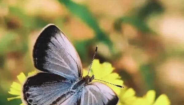 早安好心情经典语句文案