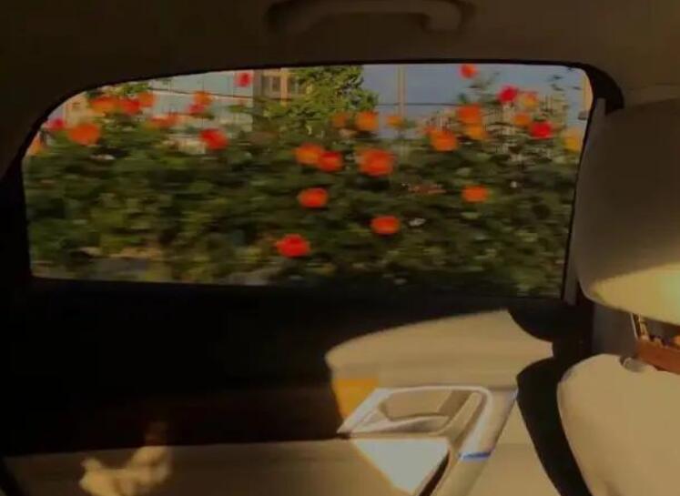 初中生优美长句摘抄