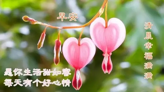 健康快乐早安图片及祝福语