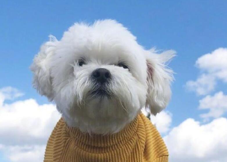 每天正能量的句子文案