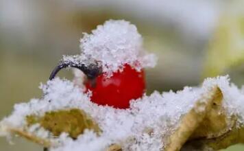 冬天大雪过后的句子文案