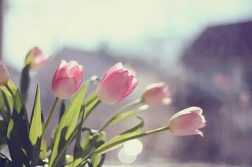 人生感悟精辟短语