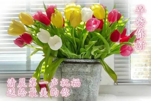 早晨发给女朋友的问候语