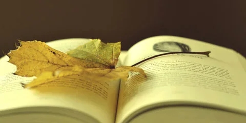 心灵鸡汤的神回复