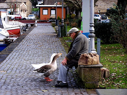 暗示表白晚安的句子文案