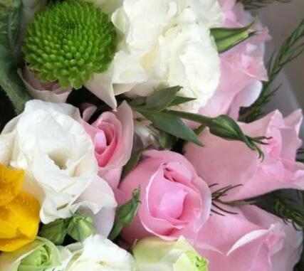 祝福姐姐漂亮的话