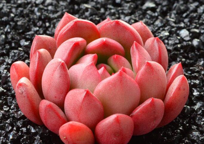 100个含有修辞手法的句子文案