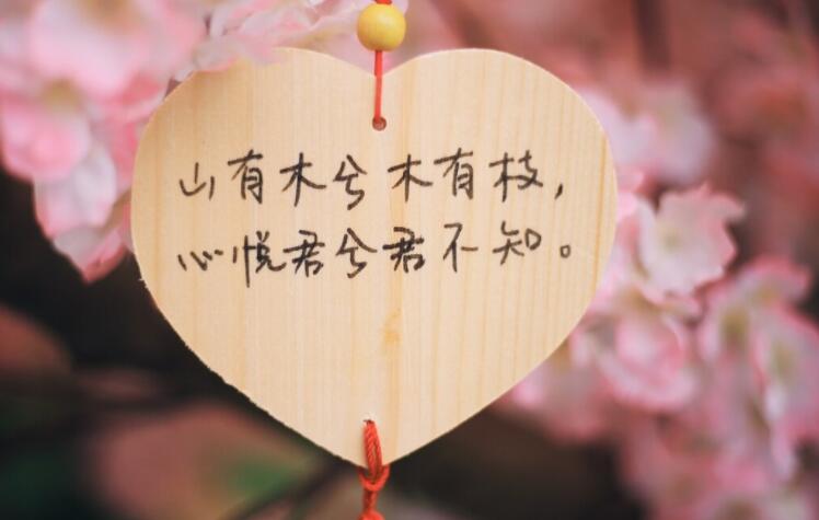 真挚的爱情短句