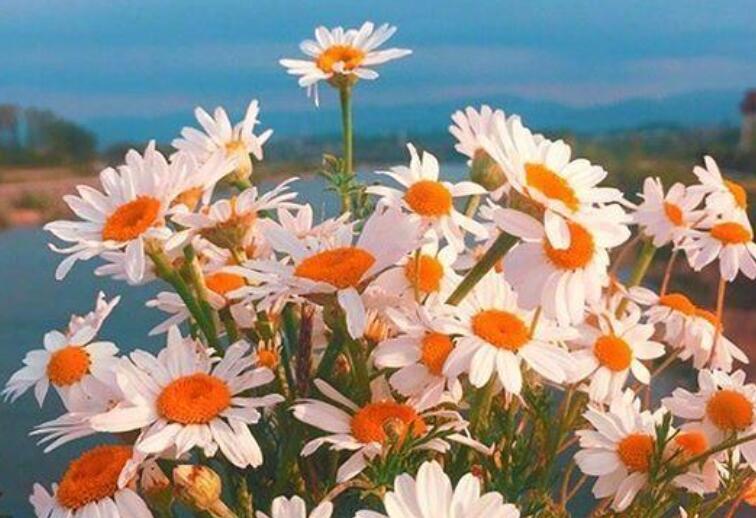 励志短语正能量霸气早安语