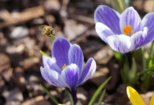 古代描述爱情的古诗词