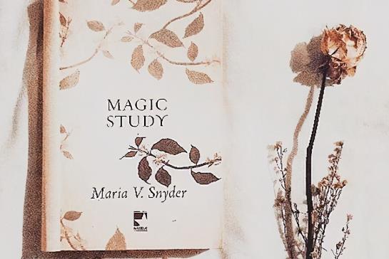 晚安幽默最暖心短句