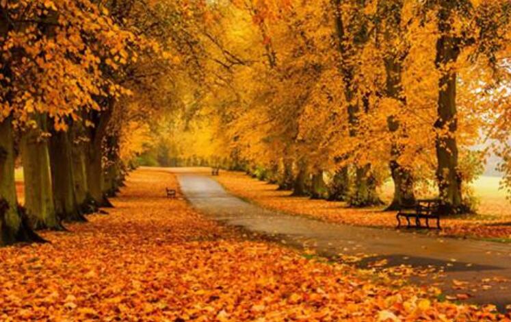 工作一年了想发个说说文案