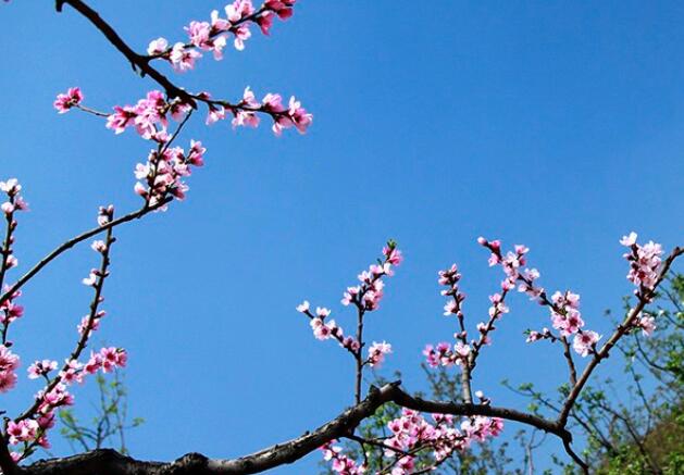 《论语》中有名的句子文案