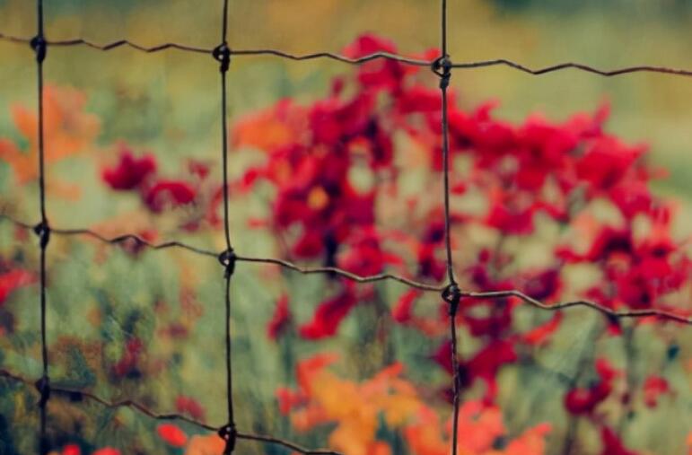 心灵鸡汤简短经典语录文案励志